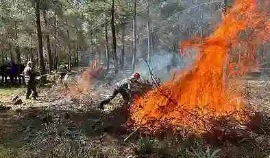 Yerli ve Milli Parti: Elektrik faturalarından alınan TRT payı, bir yıl boyunca orman yangınlarıyla mücadeleye aktarılmalı