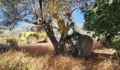 Zeytinliklerin madencilik faaliyetlerine açılmasını öngören tartışmalı kanun teklifinde, ilk 4 madde Meclis’ten geçti
