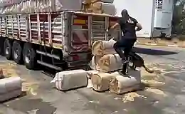 73 ilde uyuşturucu operasyonu: Bin 695 kişi yakalandı