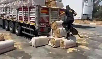 73 ilde uyuşturucu operasyonu: Bin 695 kişi yakalandı