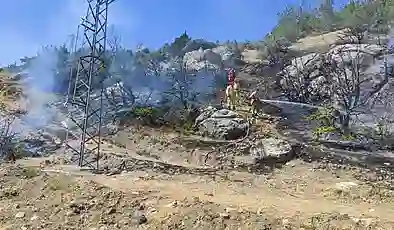 Adıyaman’da orman yangını