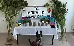 Aydın’da uyuşturucu operasyonu