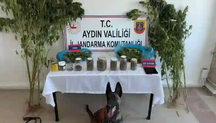 Aydın’da uyuşturucu operasyonu
