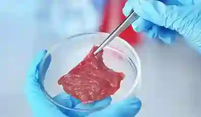 Bakan Yumaklı’dan yapay et açıklaması