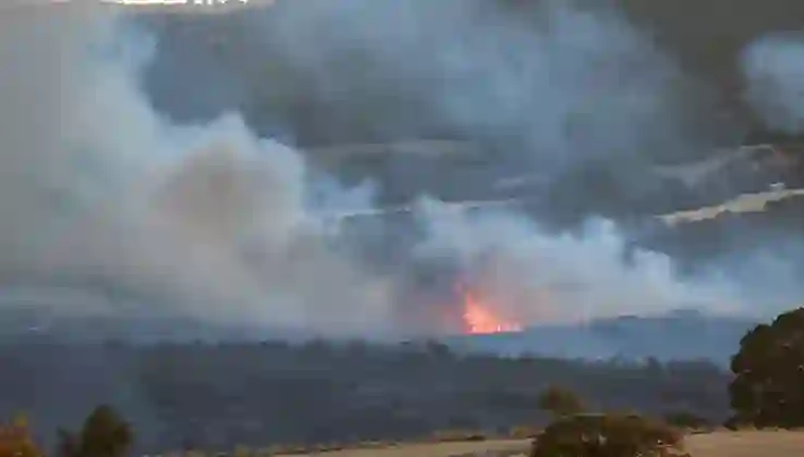 Balıkesir’de orman yangını: Ekiplerin müdahalesi sürüyor