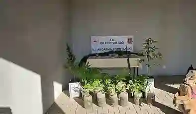 Bilecik’te yasadışı uyuşturucu operasyonu