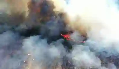 Bolu’da orman yangını!