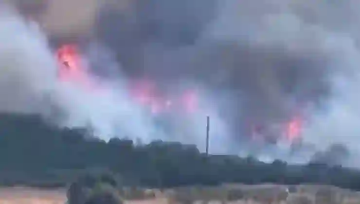 Bursa’da orman yangını: Alevler rüzgarın etkisiyle büyüdü