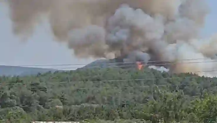 Çanakkale ve Muğla’da orman yangını: Gelibolu’da tahliyeler başladı