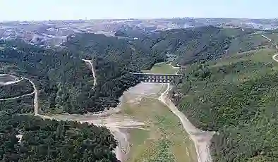 Çatalca’daki kum ocağını genişletme planı: 24 binden fazla ağaç tehlikede!