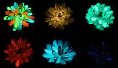 Çinli araştırmacılar “ışık yayan bitki” üretti: Güneş ışığını emiyor