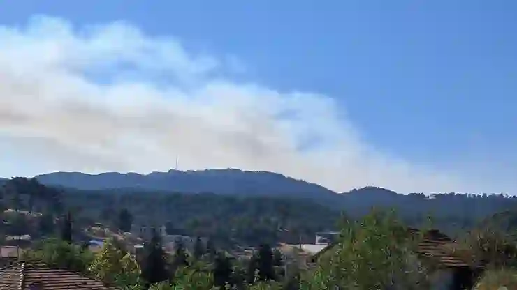 Denizli’de çıkan orman yangınında 3’üncü gün: Müdahale sürüyor