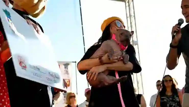 Dünyanın en çirkin köpeği: Sahibine 5 bin dolar kazandırdı