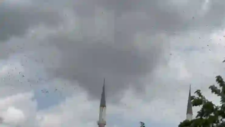 Güneye gidiyorlar: Yüzlerce leylek İstanbul semalarında görüldü