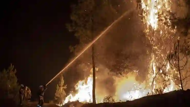 İspanya ve Portekiz’de orman yangınları sürüyor: Binlerce hektar orman kül oldu!