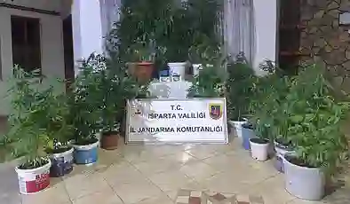 Isparta’da uyuşturucu operasyonu