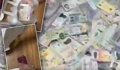 İstanbul’dan Avrupa’daki kaçakçılara sahte belge sevkiyatı: Paralar “yerin altından” çıktı