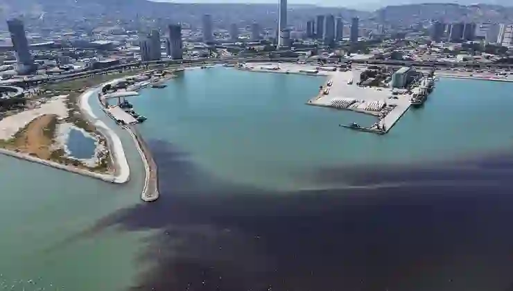 İzmir’de endişe veren görüntü: Balık ölümleri yeniden başladı