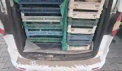 Kaçak avcılığa operasyon: 240 kilogram kurbağaya el konuldu