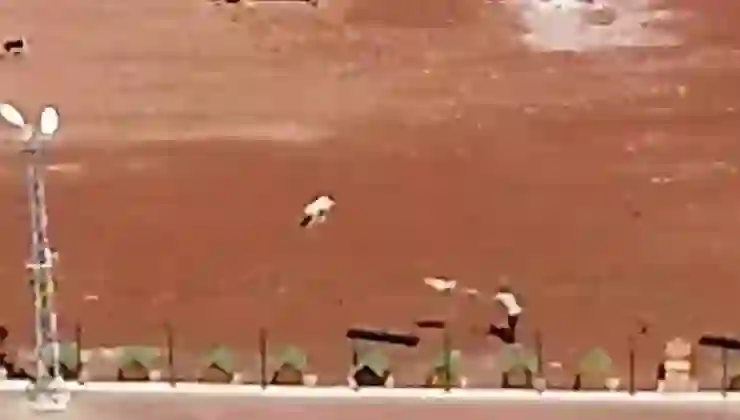 Kars’ta barınaktaki köpeklere işkence edenlere soruşturma!