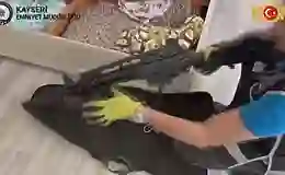 Kayseri’de silah kaçakçılarına operasyon: 5 gözaltı