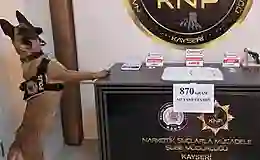 Kayseri’de uyuşturucu şebekesi çökertildi