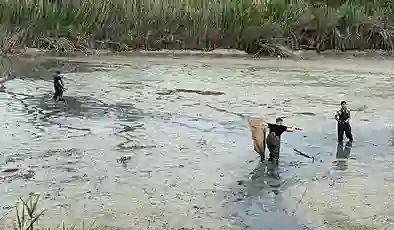 Kuruyan gölette mahsur kalan balıklar kurtarıldı