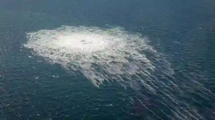 Kuzey Akımı boru hattındaki sabotaja ilişkin ​​Ukraynalı şüpheli gözaltına alındı