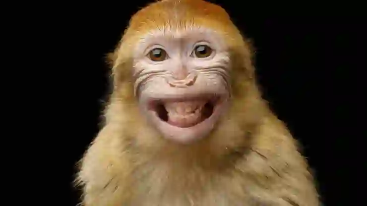 Maymun beyni gibi çalışan bilgisayar geliştirildi