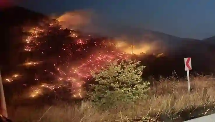 Nazilli’de alevler büyümeden kontrol altına alındı