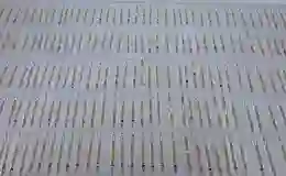 Piyasa değeri 60 milyon TL olan zehir Burdur Çeltikçi ilçesinde ele geçirildi