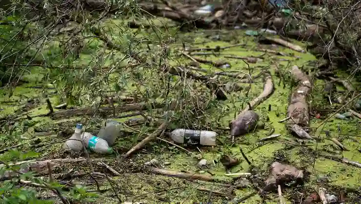 Spermlere zarar veriyor: Plastiklerdeki tehdit