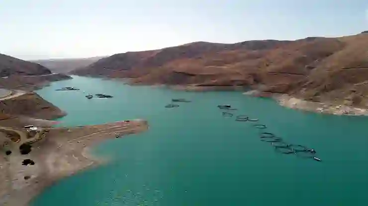 Van’daki 4 barajda doluluk oranı geçen yıla göre düştü: Barajlar yok olma tehlikesiyle karşı karşıya kalabilir