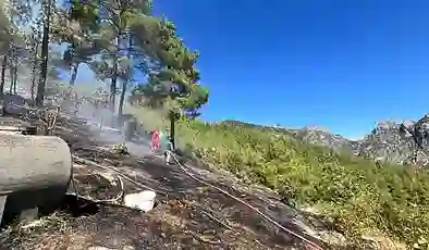 Adana’da orman yangını: Müdahale sürüyor