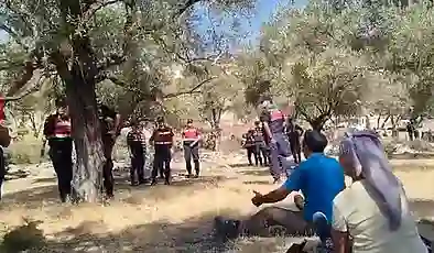 Akbelen’de zeytin ağaçlarının sökümüne karşı Danıştay’dan acil yürütmeyi durdurma istendi