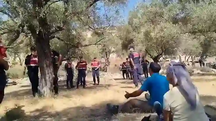 Akbelen’de zeytin ağaçlarının sökümüne karşı Danıştay’dan acil yürütmeyi durdurma istendi