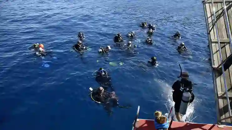 Altın Palet Sualtı Görüntüleme Türkiye Şampiyonası Fethiye’de başladı