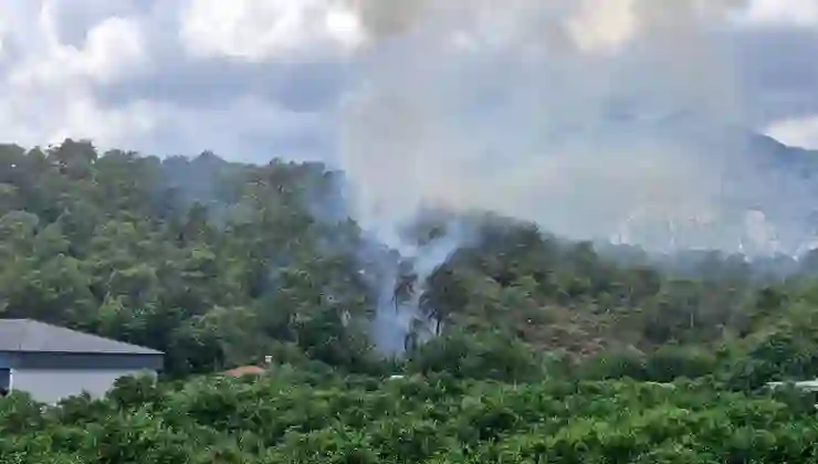 Antalya Kemer’de orman yangını: Müdahale sürüyor