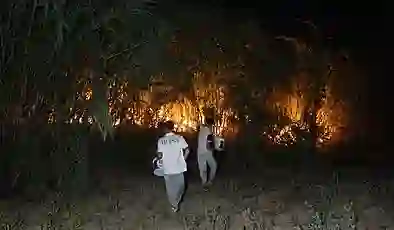 Antalya’da yangın paniği: Yerleşim yerlerine yaklaştı