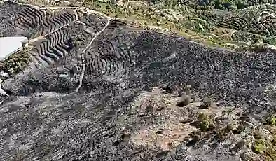 Antalya’daki orman yangının bilançosu havadan görüntülendi