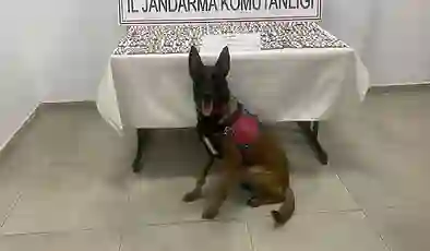 Aydın’da uyuşturucu operasyonu: Üç gözaltı