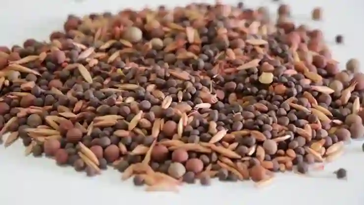 Bakan Yumaklı’dan İsrail tohumu iddialarına yanıt