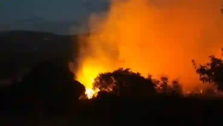 Balıkesir’de yangın: Yol kenarında başladı, ormana sıçradı