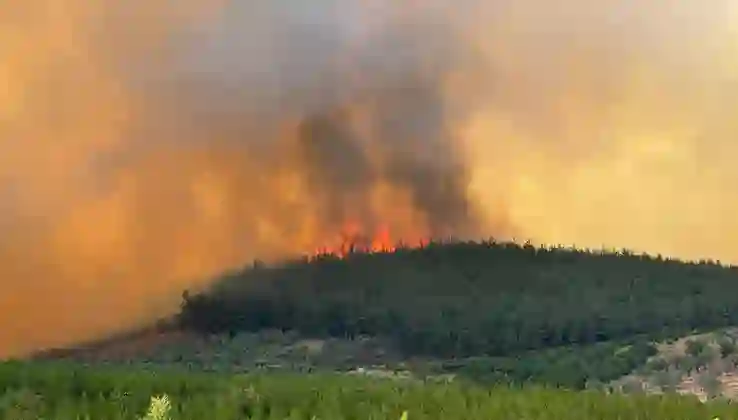 Bursa’da orman yangını: Dumanlar gökyüzünü kapladı