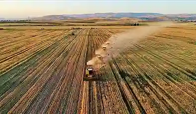 Çiftçilere tarımsal destek ödemesi bugün başlıyor