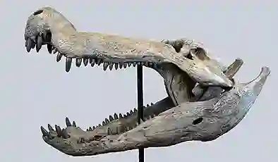 Devlerin avcısı: Dinozorlarla beslenen timsah keşfedildi