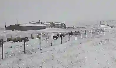 Doğu Karadeniz’in yüksek kesimleri beyaza büründü