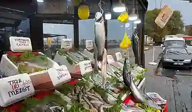 Hamsi beklentisi yüksek, palamut için umut sıfır