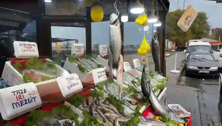 Hamsi beklentisi yüksek, palamut için umut sıfır