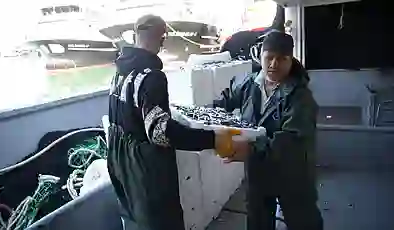 Karadeniz’de hamsi bereketi: Kilosu 100-150 lira